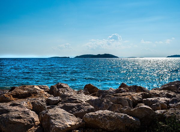 Histoire des paquebots de légende : Des transatlantiques aux croisières modernes